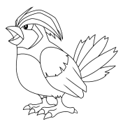 Pidgeotto Online Värvimine
